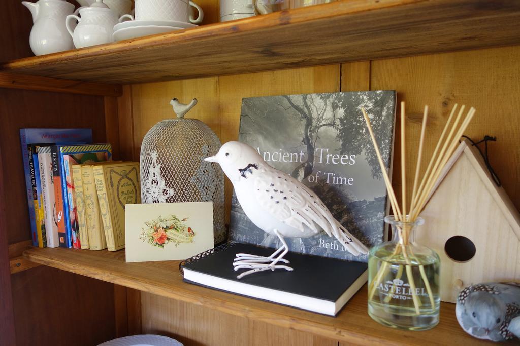 Sparrow Sintra Nest Bagian luar foto